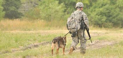 A Lesson from Military Dog Teams: Never Give Up! – US War Dogs Heritage ...