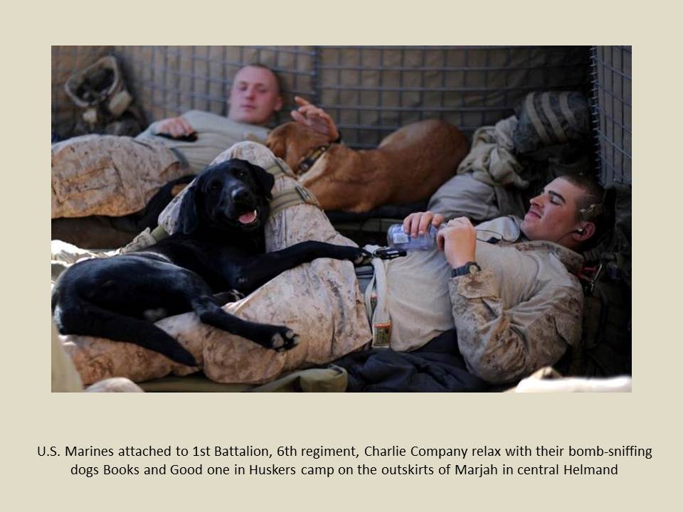 marines relax